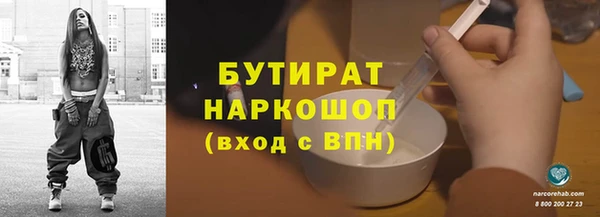 индика Алзамай