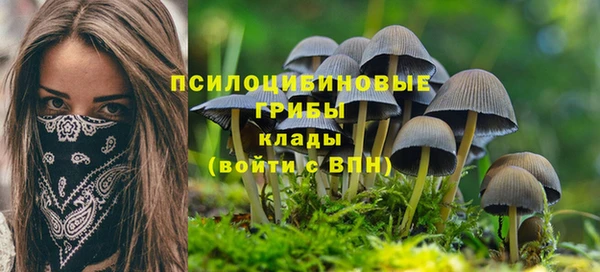 индика Алзамай