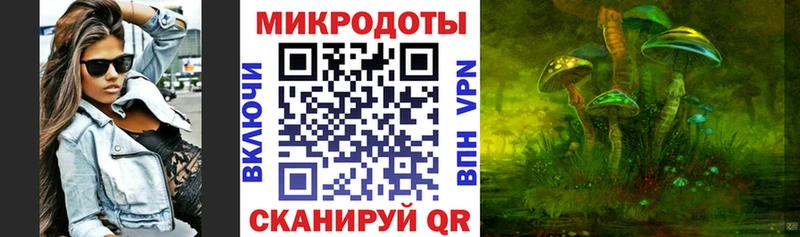 магазин продажи сайты даркнета какой сайт Псилоцибиновые грибы GOLDEN TEACHER Катав-Ивановск